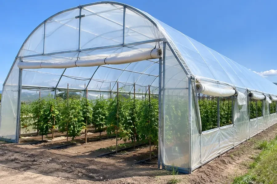 Greenhouse project, complete