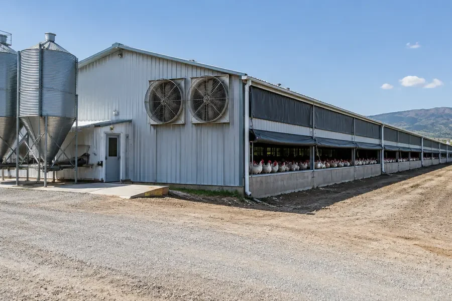 Feed storage project