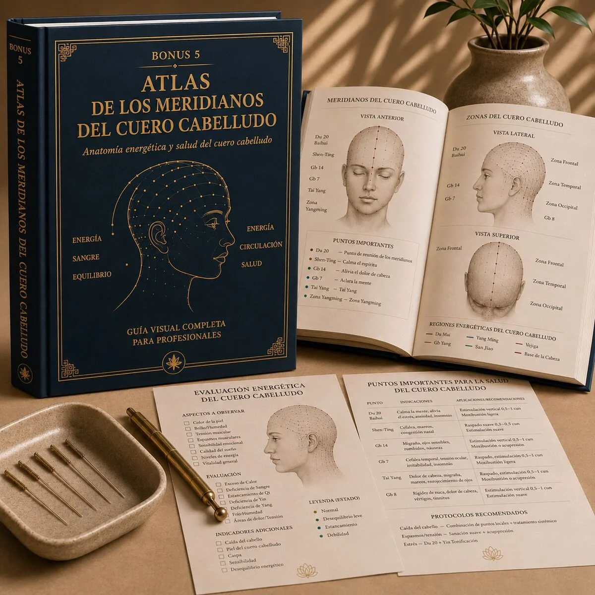 Bono Atlas de Meridianos del Cuero Cabelludo