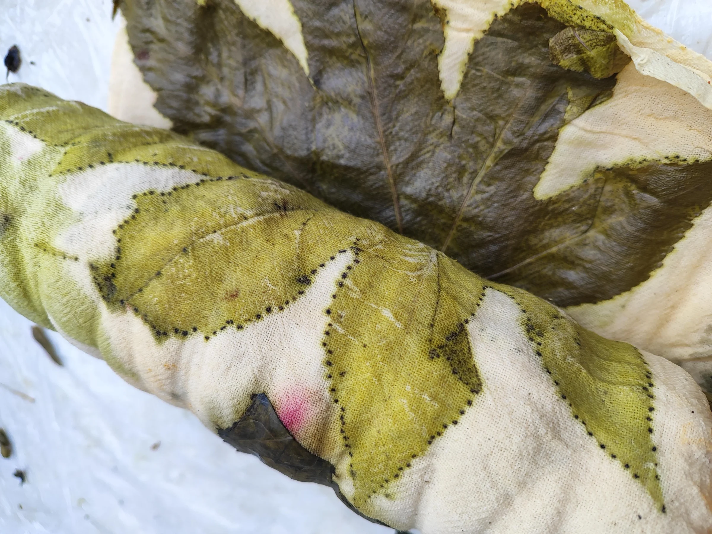 Détail d'une grande feuille imprimée sur le tissu, à la nervure nette