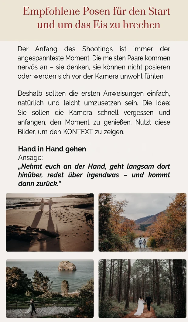 Im Guide: Licht und Kamera
