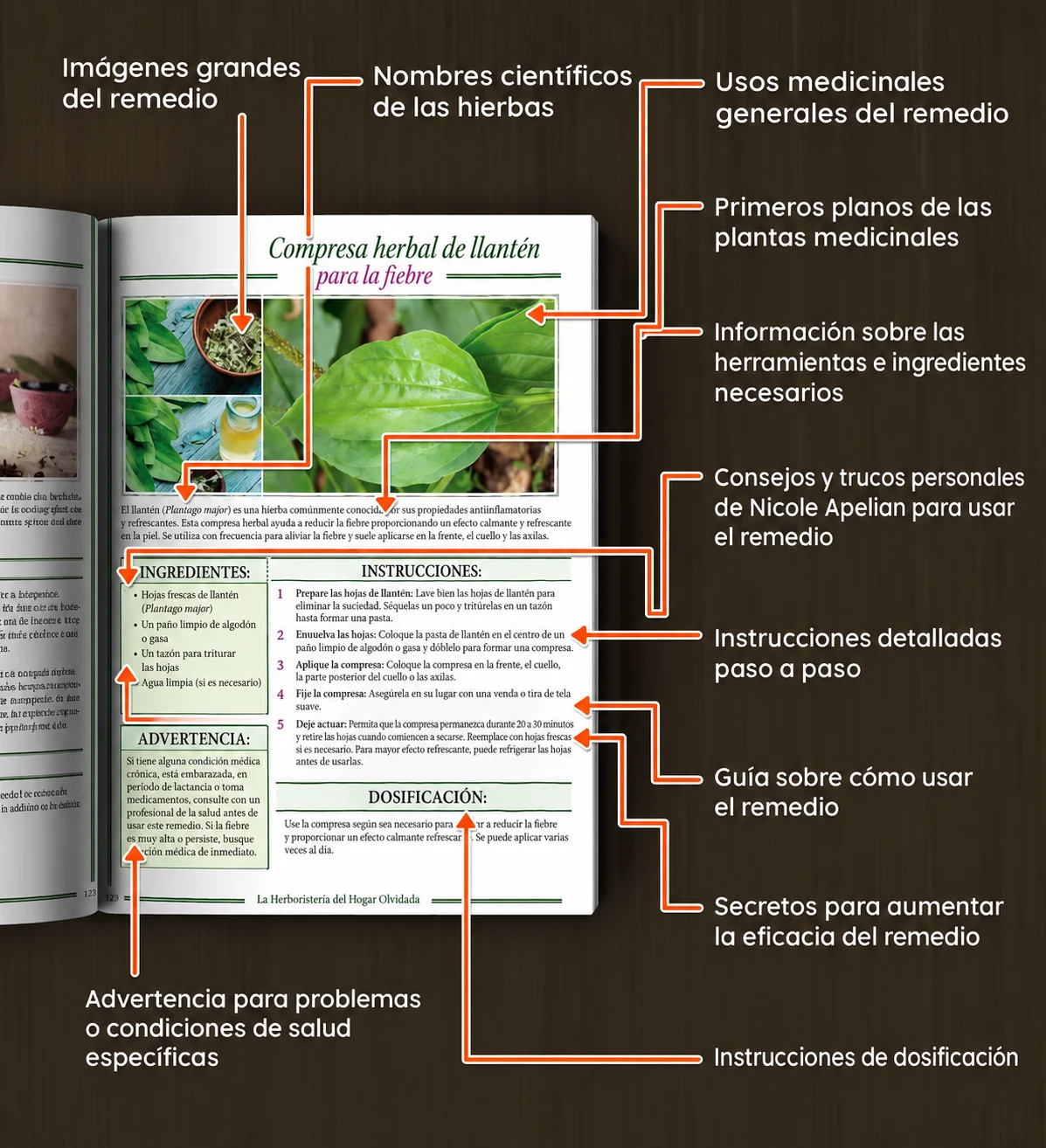 AnatomÃ­a de una pÃ¡gina del libro: imÃ¡genes, nombres cientÃ­ficos, ingredientes, pasos, dosis y advertencias