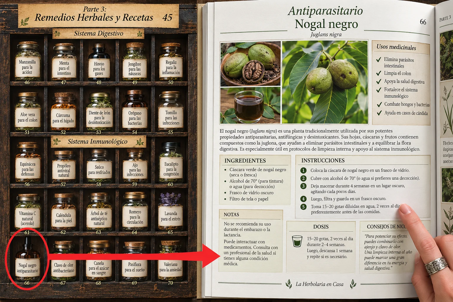 Del estante a la pÃ¡gina exacta del remedio