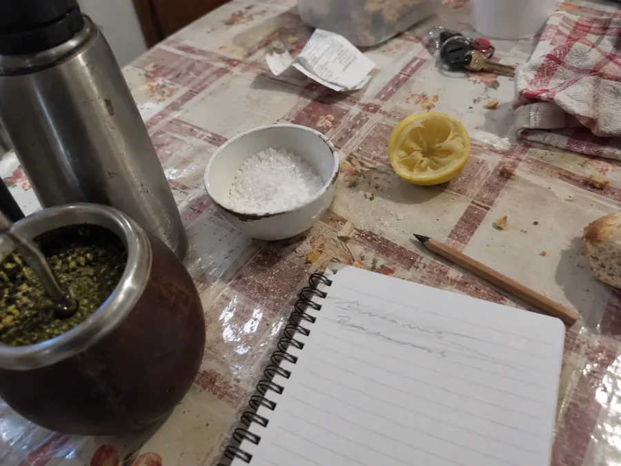 Cuaderno, lápiz, medio limón, sal gruesa y un mate sobre la mesa