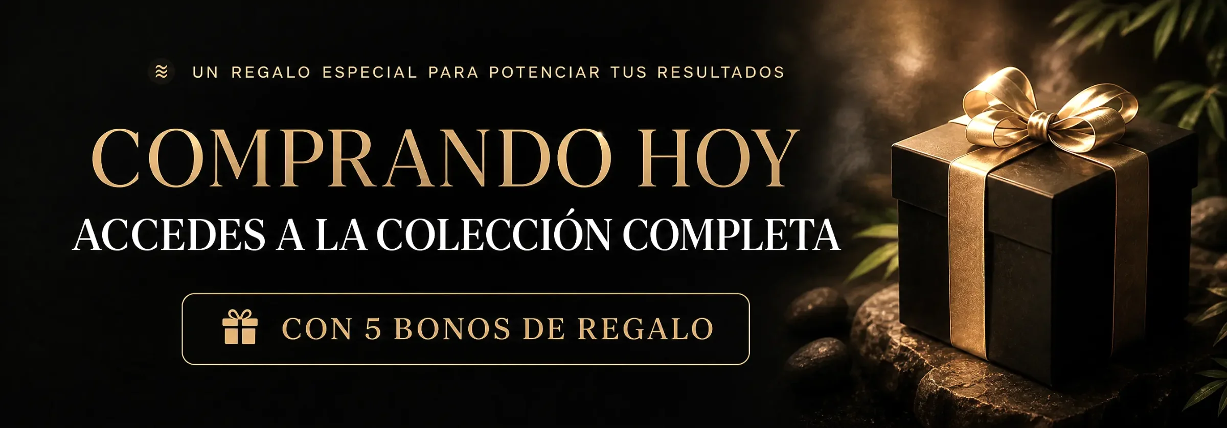 Bonos incluidos