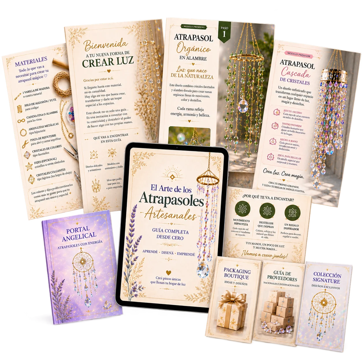 Pack Atrapasoles