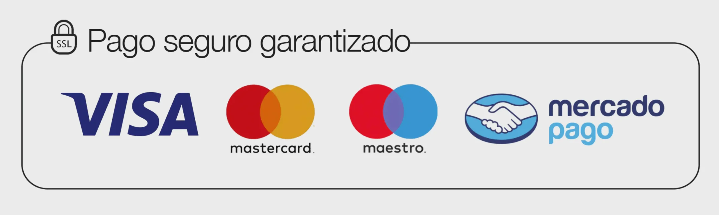 Pago 100% seguro