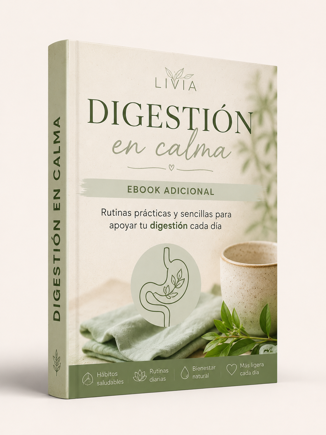 Digestión en calma: rutina diaria